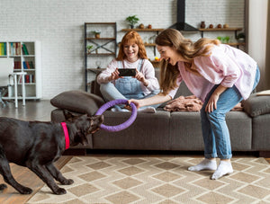 Keeping Pets Happy with Fun Toys