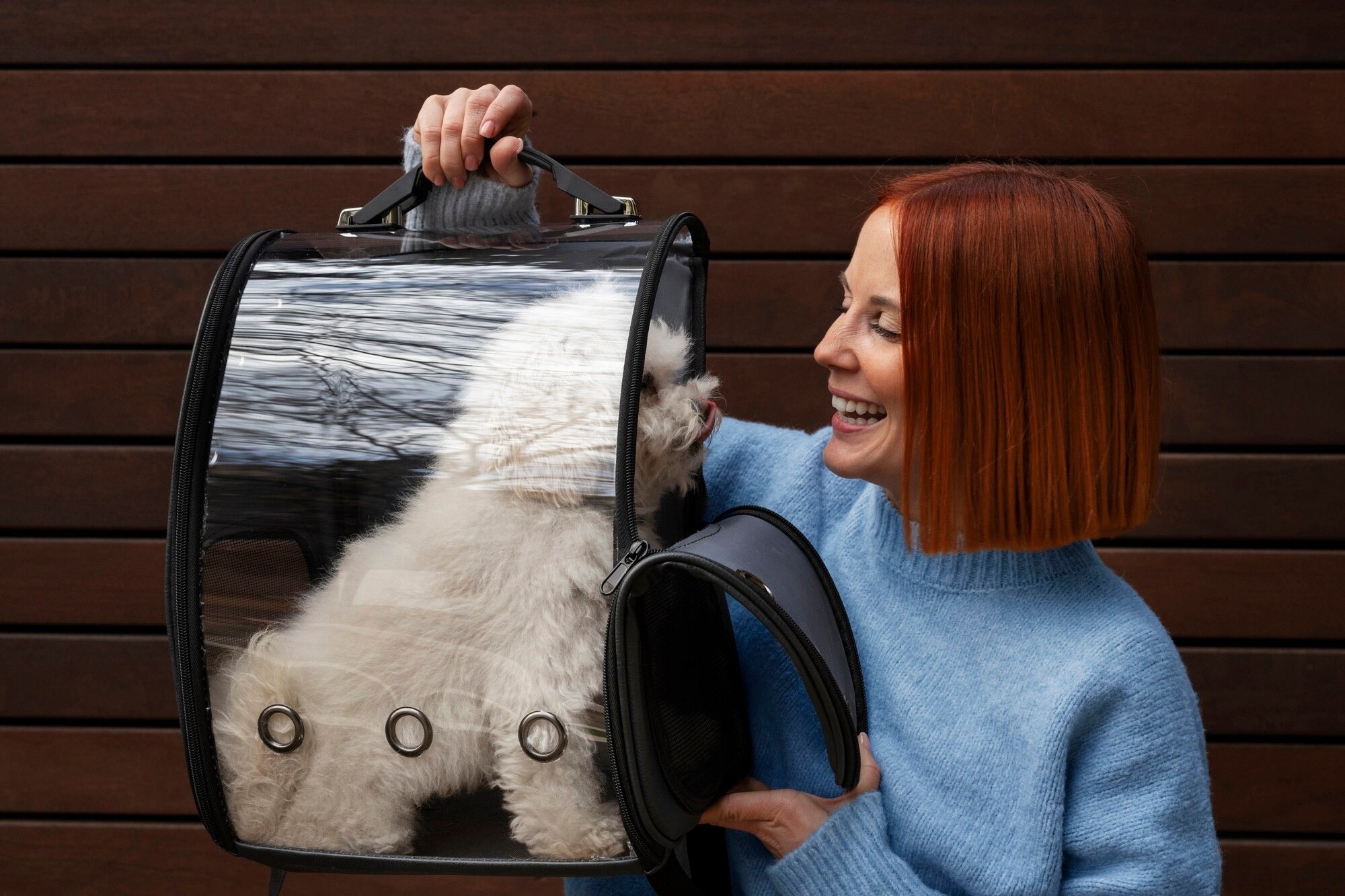 Safe Comfortable Pet Travel Carrier Solutions