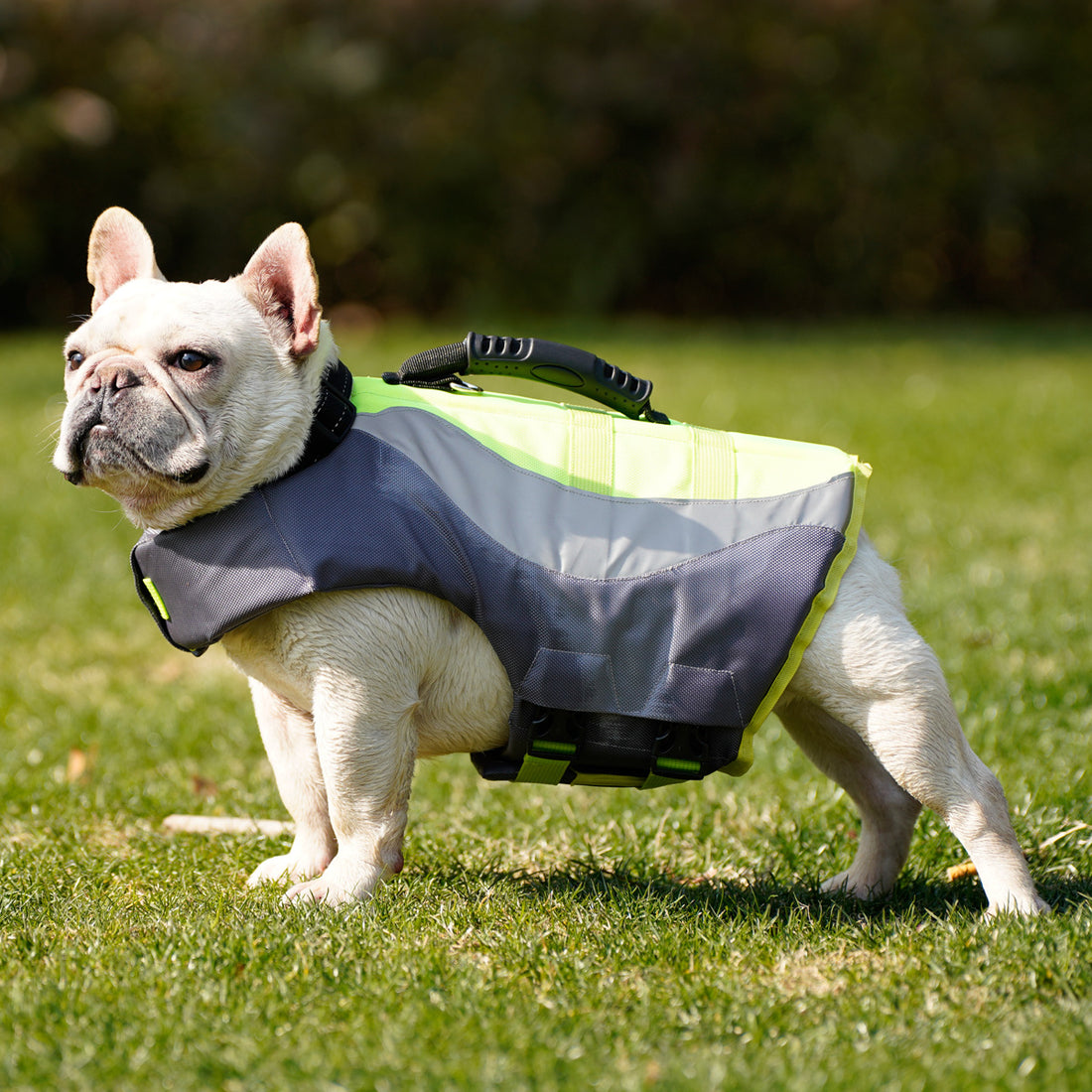 Pet Reflective Life Jacket Swimsuit Safety Vest