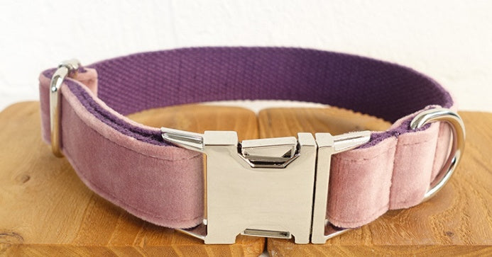 Pet Collar And Leash Set
