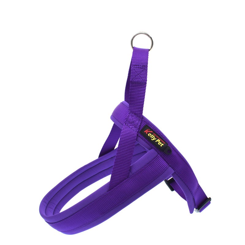 Pet Nylon Chest Harness And Leash Set
