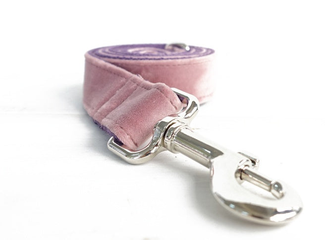 Pet Collar And Leash Set