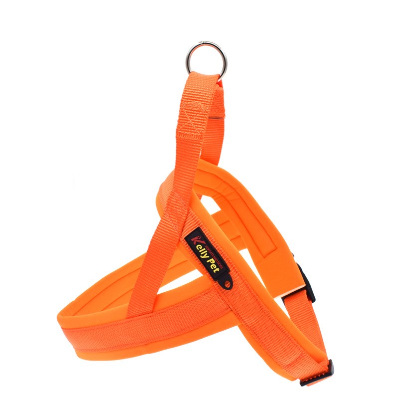 Pet Nylon Chest Harness And Leash Set