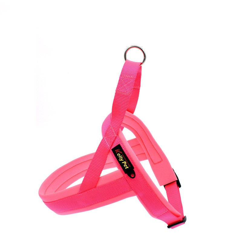 Pet Nylon Chest Harness And Leash Set