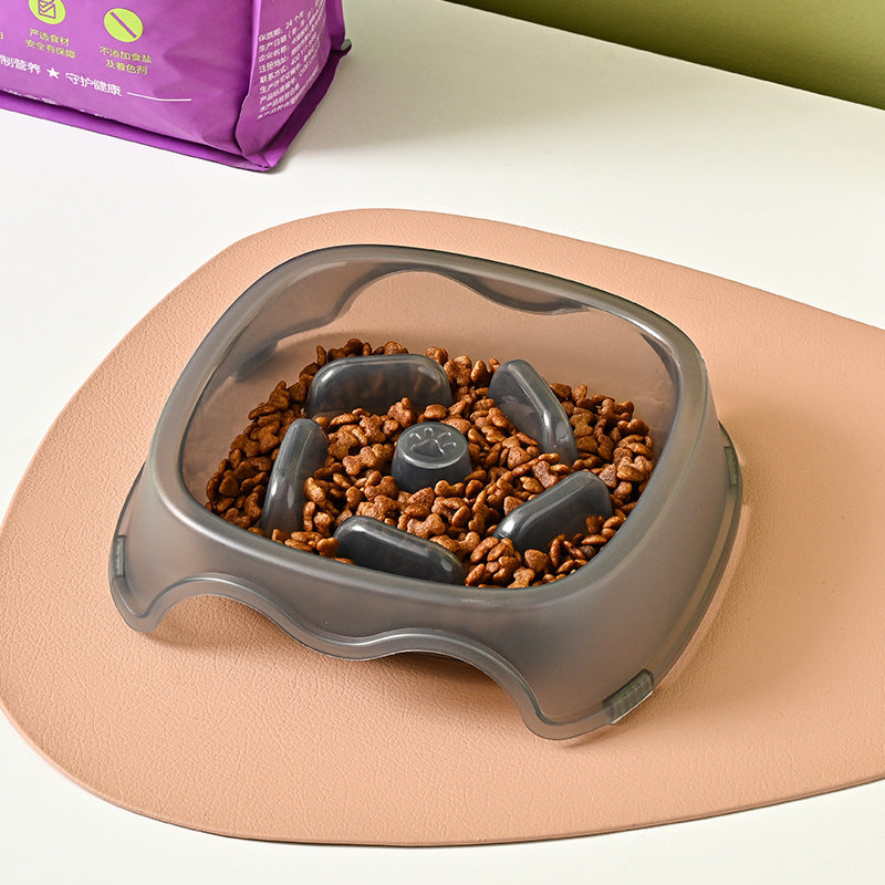 Anti Choking Pet Slow Feeder Bowl For Dogs And Puppies
