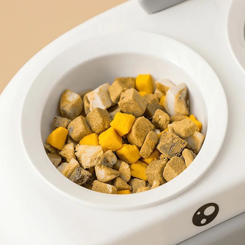 Duck Design Double Pet Bowl Plastic Feeding Tray