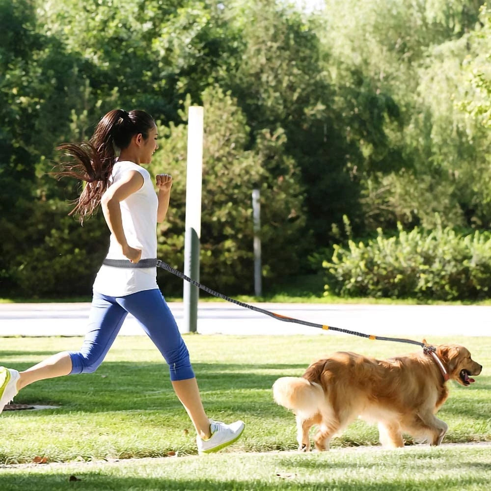 Adjustable Jogging Pet Harness Collar Leash Set