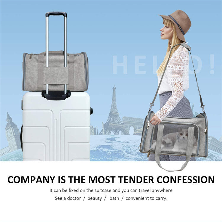 Foldable Portable Pet Carrier Hand Held Travel Bag