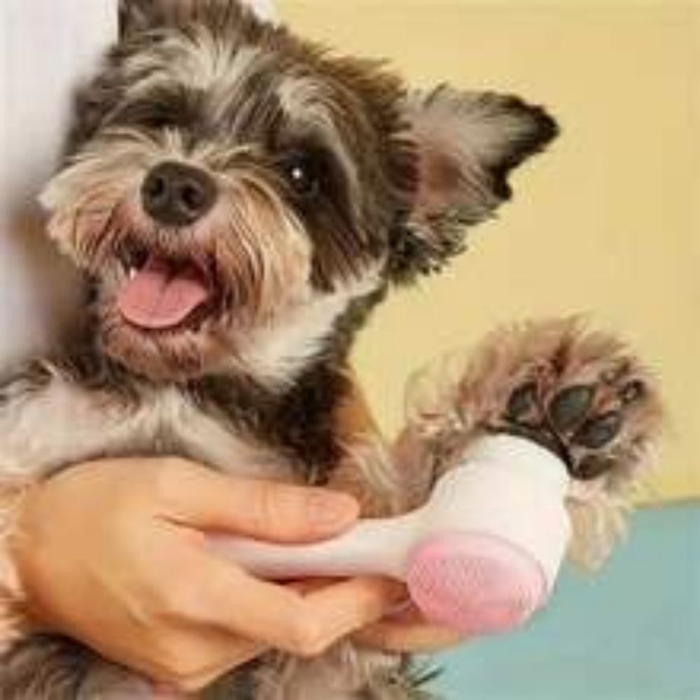 Pet Paw Cleaning Brush Gentle Grooming Massage Tool