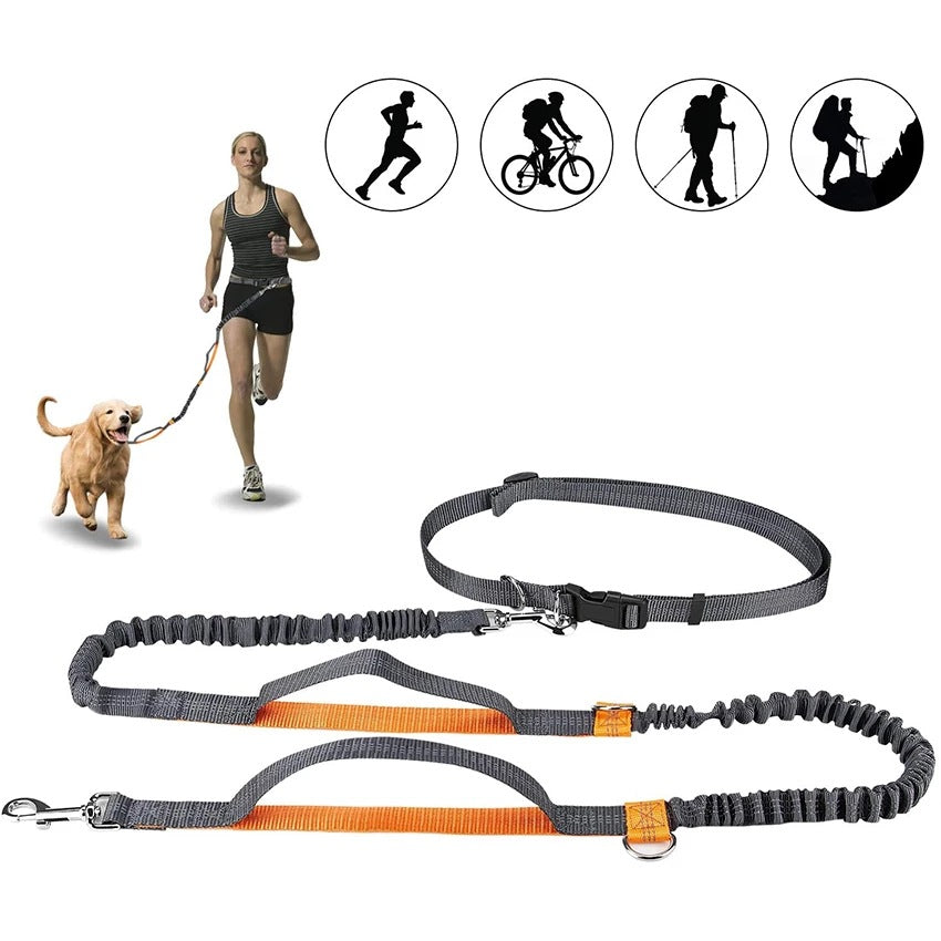 Adjustable Jogging Pet Harness Collar Leash Set